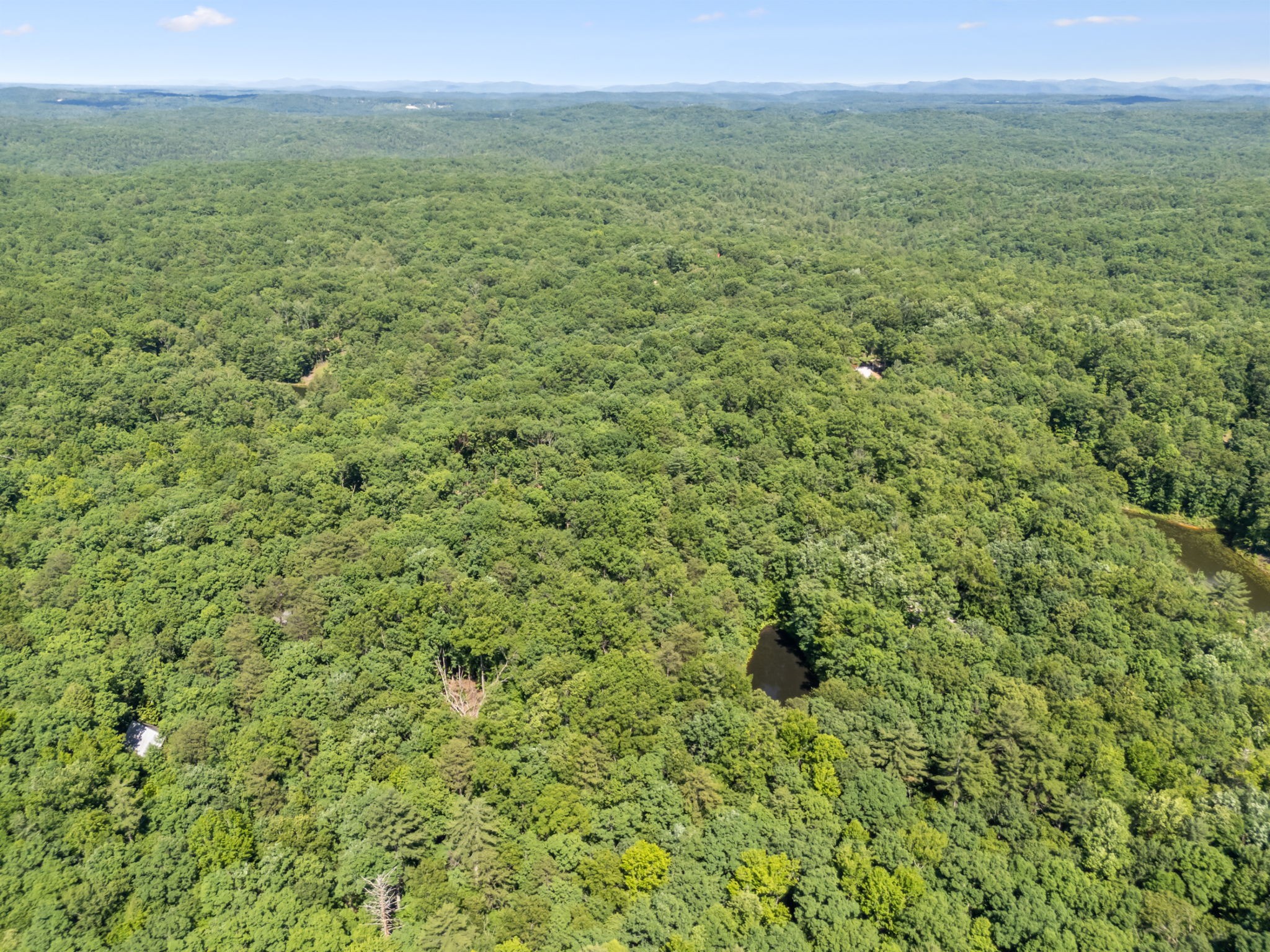 340 Doe Ridge Road Oneida, TN 37841 - Photo 93 of 99