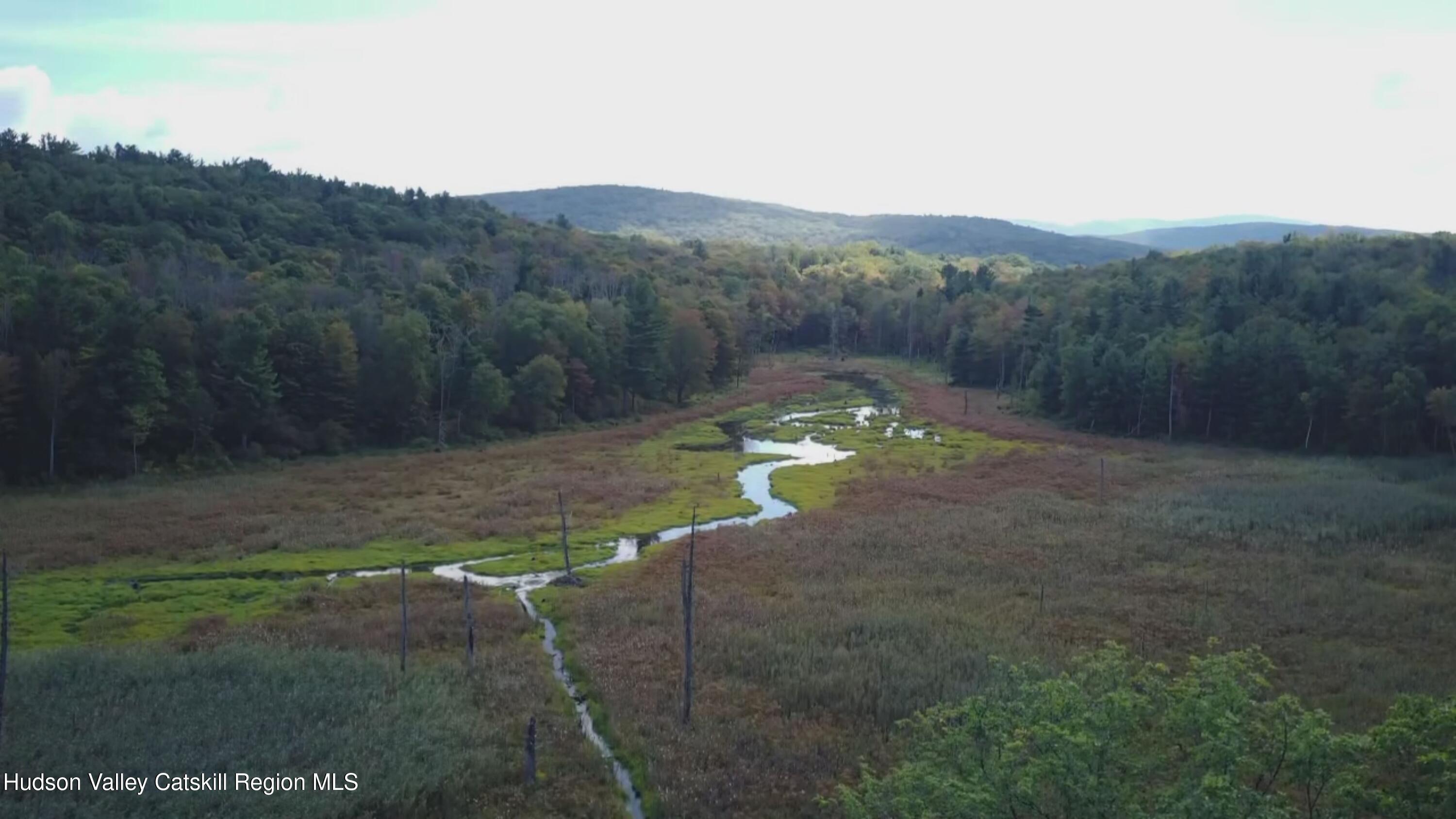 801 Rodman Road Hillsdale, NY 12529 - Photo 7 of 25 a view of a house with a yard