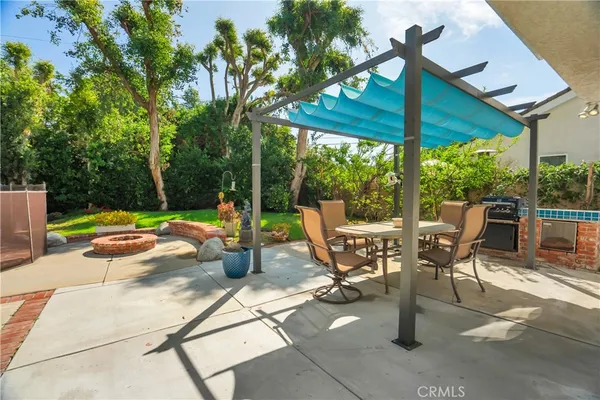 a view of a backyard with plants and large trees