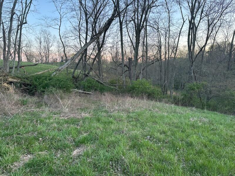 4 Upper Lick Road Moorefield, KY 40350 - Photo 4 of 6 04
