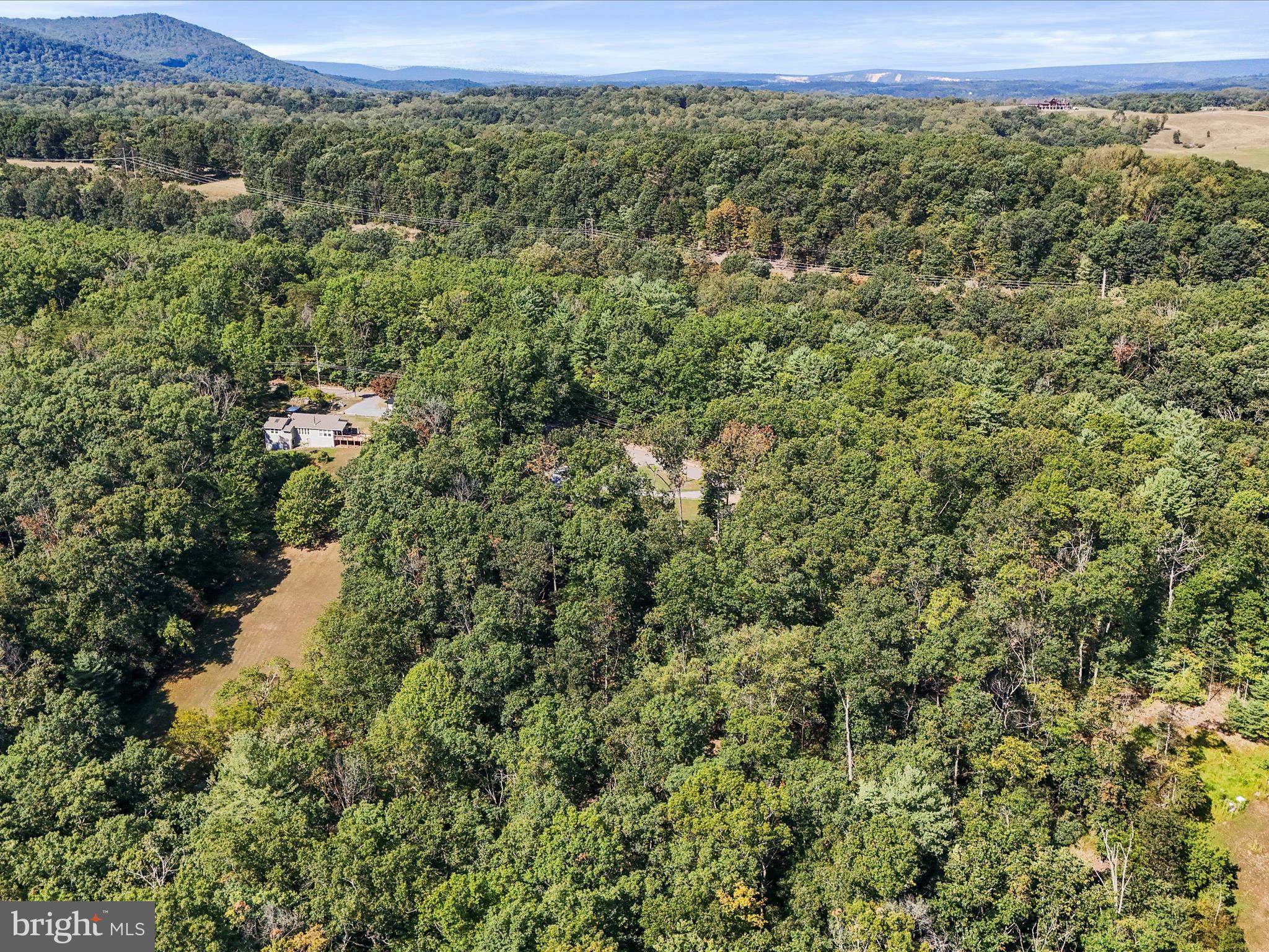 867 Mason Road Hedgesville, WV 25427 - Photo 37 of 39 a view of a forest with a street