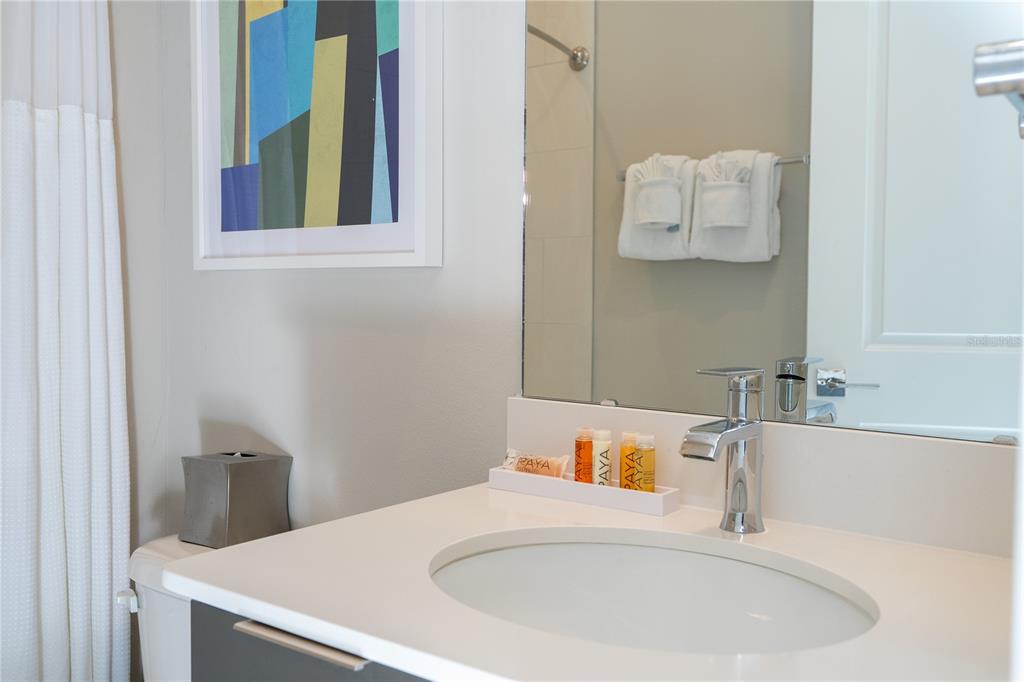 7740 Sandy Ridge Drive, Unit 247 Reunion, FL 34747 - Photo 53 of 97