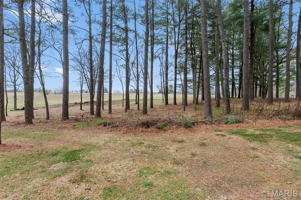 $425,000 | 102 Woodland Trail, Anna, IL 62906