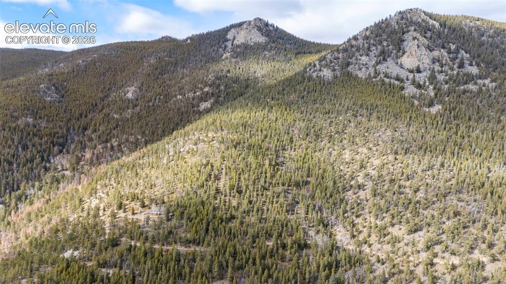 Alps Mountain Road Idaho Springs, CO 80452 - Photo 2 of 7