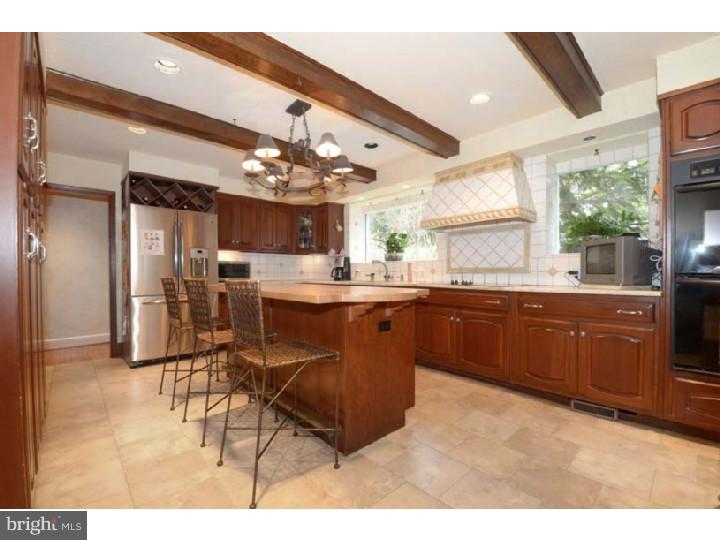 245 Mcclenaghan Mill Road Wynnewood, PA 19096 - Photo 8 of 22 a kitchen with a sink stainless steel appliances and cabinets