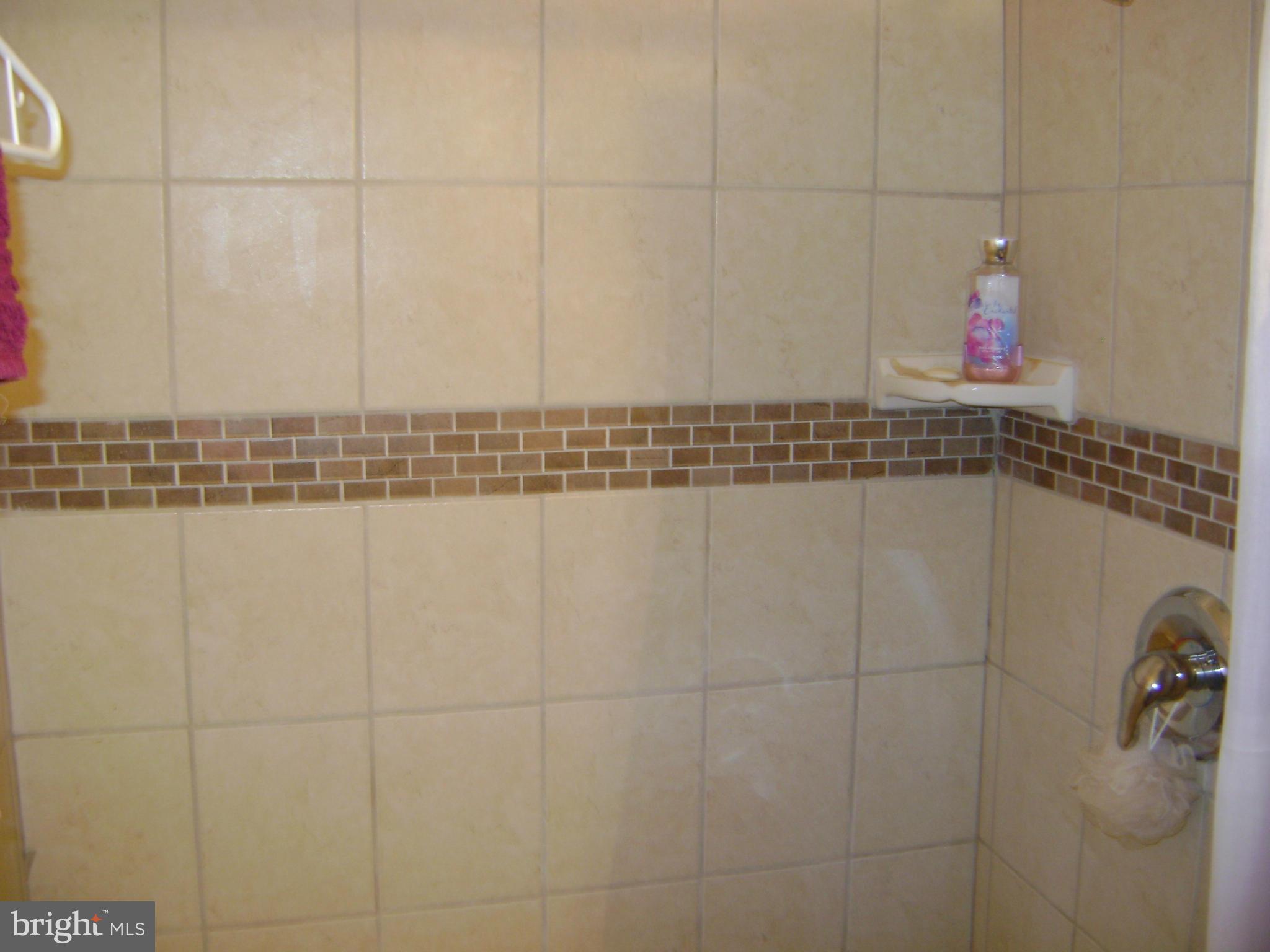 15502 Bealle Hill Road Accokeek, MD 20607 - Photo 13 of 16 Bath (Master)