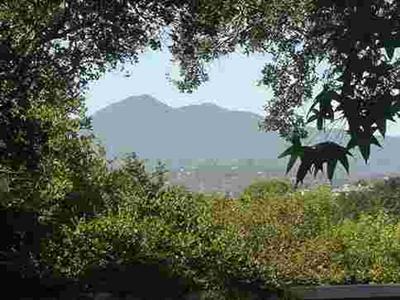 80 Manderly Road San Rafael, CA 94901 - Photo 3 of 9 a view of a garden