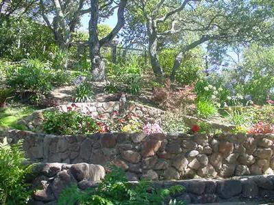 80 Manderly Road San Rafael, CA 94901 - Photo 7 of 9 a backyard of a house with lots of green space and plants