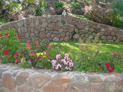 80 Manderly Road San Rafael, CA 94901 - Photo 8 of 9 a garden with flowers and a trees