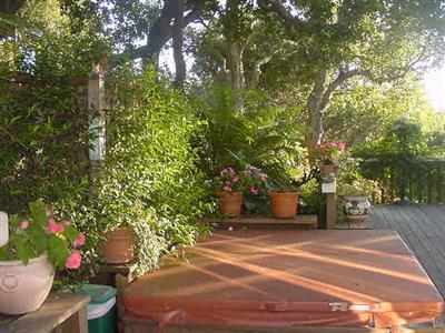 80 Manderly Road San Rafael, CA 94901 - Photo 9 of 9 a view of a yard with plants and trees