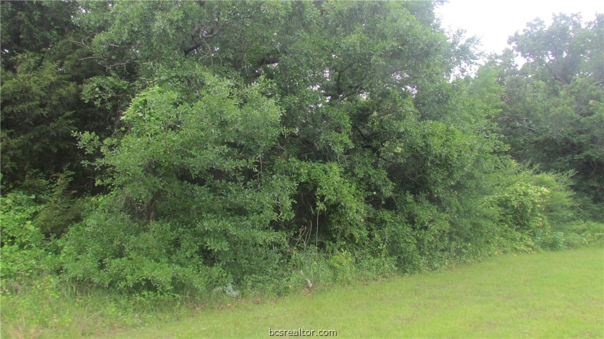 1015 West Villa Maria Road Bryan, TX 77801 - Photo 1 of 1 Gallery Image 1