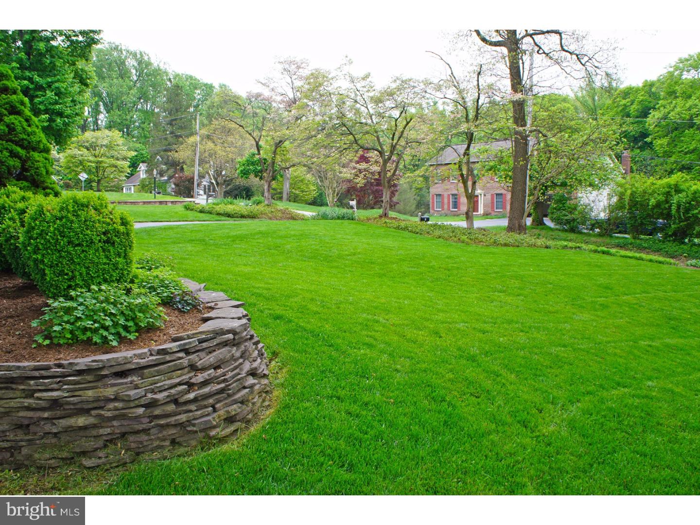 Front Yard