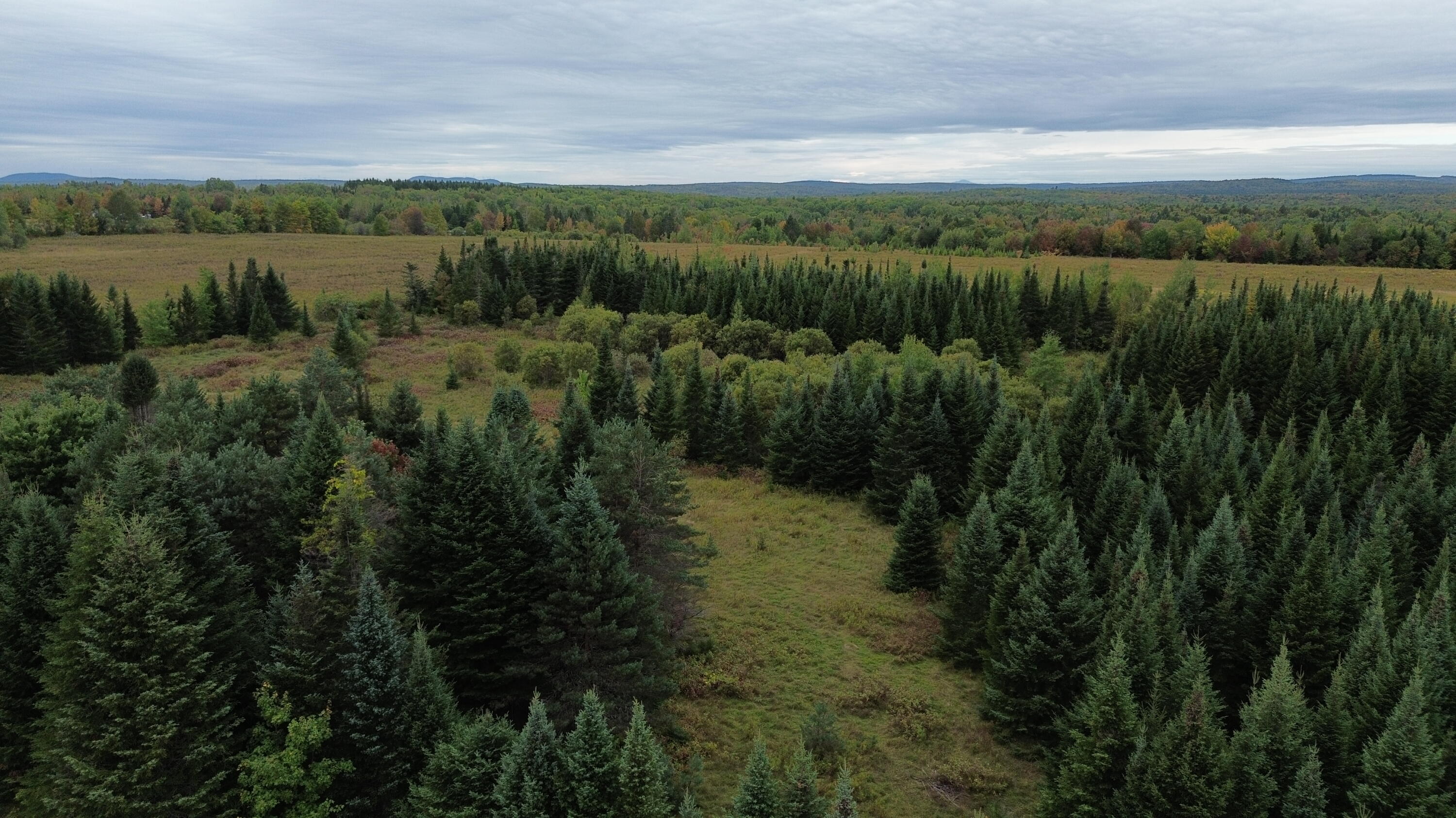 0 West Ridge Road Littleton, ME 04730 - Photo 6 of 25 DJI_0035