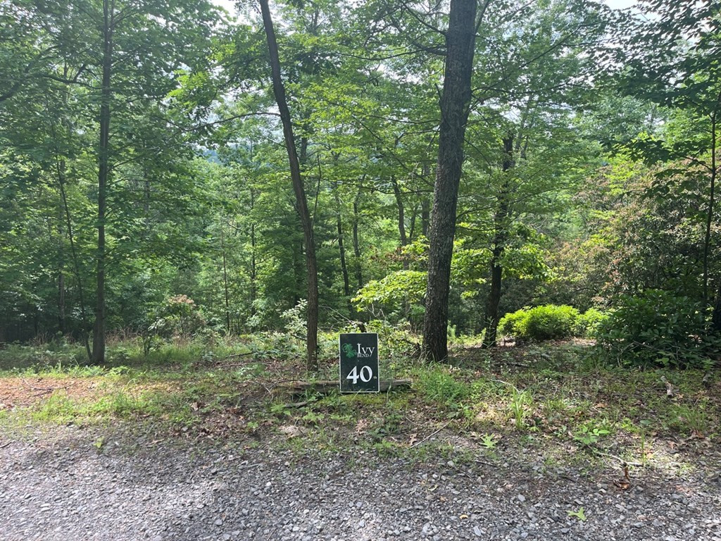 Lot 40 Burger Road Murphy, NC 28906 - Photo 2 of 3