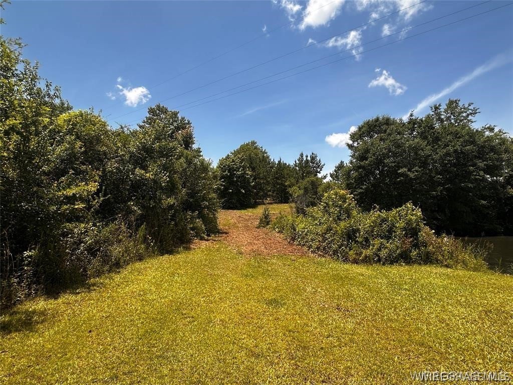 0 Culpepper Road Coffee Springs, AL 36318 - Photo 20 of 23 Gallery Image 20