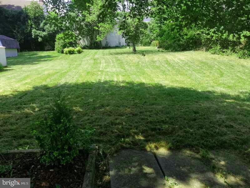 5202 Cedar Road Alexandria, VA 22309 - Photo 49 of 65 Gallery Image 49