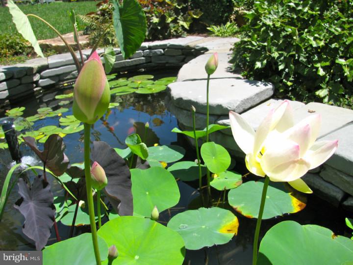 239 Upper Gulph Road Wayne, PA 19087 - Photo 20 of 25