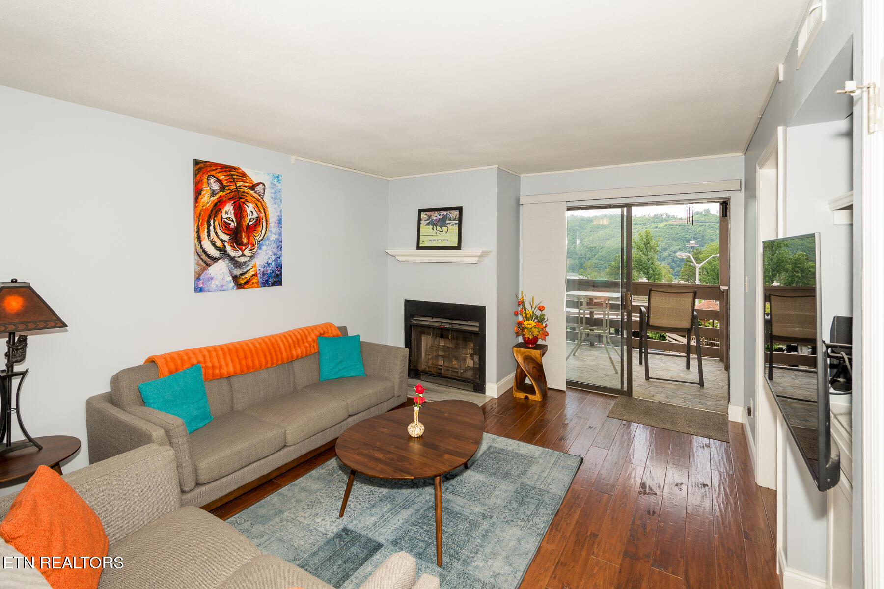 616 Turkey Nest Road, Unit 108 Gatlinburg, TN 37738 - Photo 22 of 24 616_Turkey_Nest-22