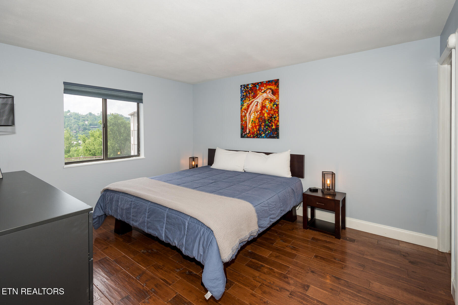 616 Turkey Nest Road, Unit 108 Gatlinburg, TN 37738 - Photo 9 of 24 616_Turkey_Nest-9