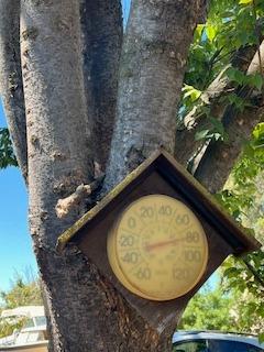 2060 Gettysburg Avenue Clovis, CA 93611 - Photo 21 of 40 a view of a swimming pool with a garden