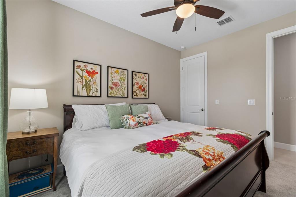 4647 Garofalo Road Wesley Chapel, FL 33543 - Photo 24 of 92