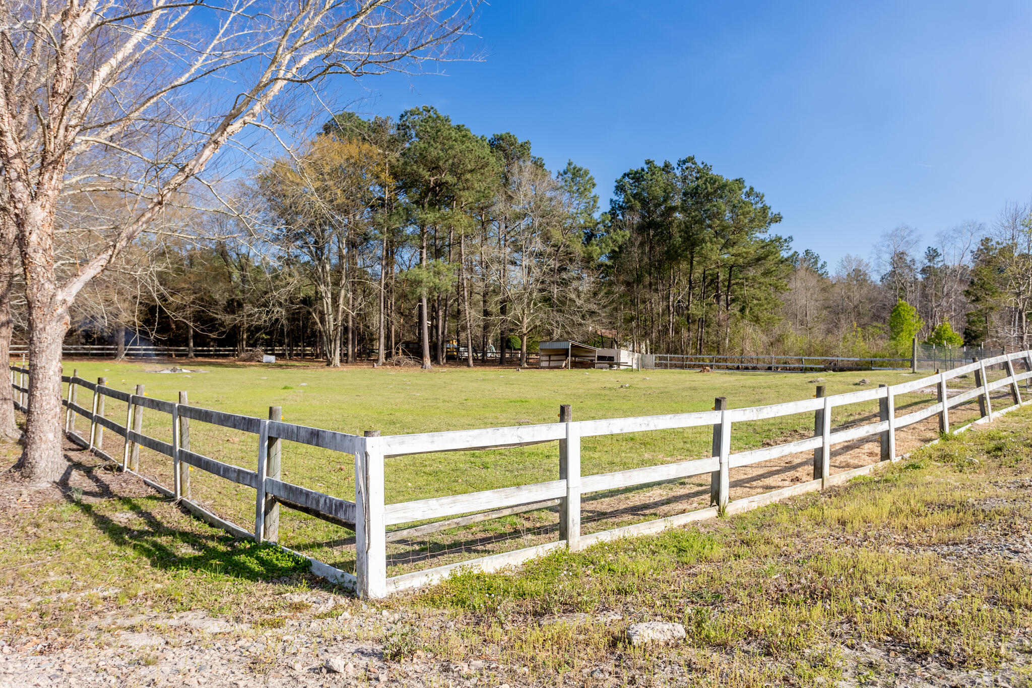 1235 Fellowship Road Williston, SC 29853 - Photo 34 of 44 8V7A0262-HDR