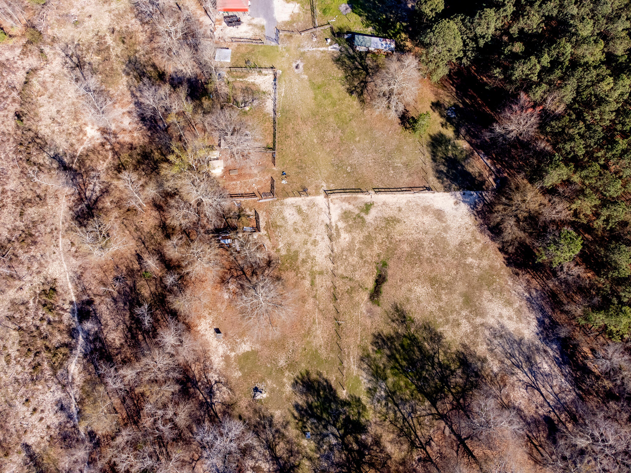 1235 Fellowship Road Williston, SC 29853 - Photo 42 of 44 DJI_0324