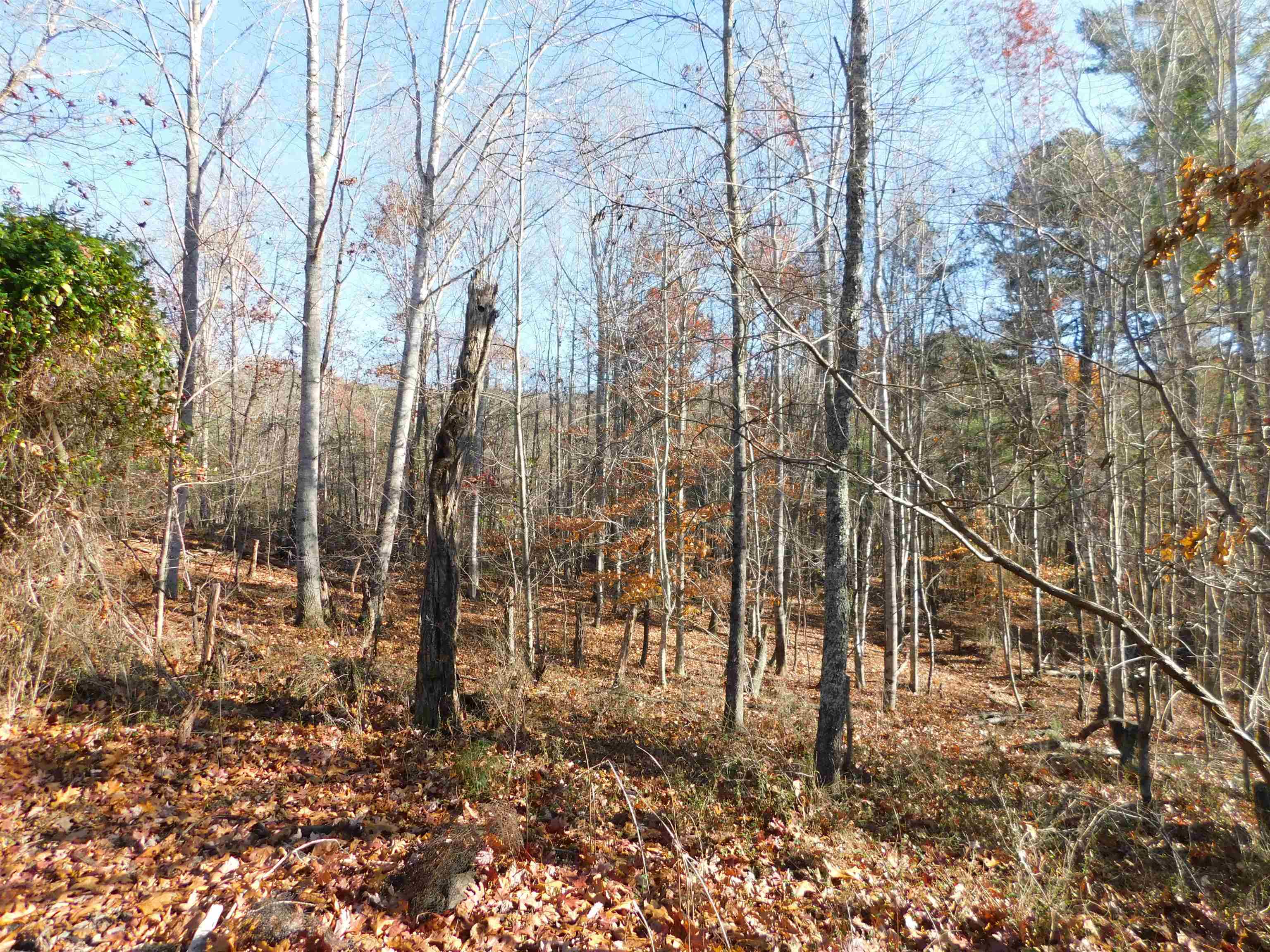 3525 Big Branch Road Riner, VA 24149 - Photo 6 of 8 Gallery Image 6