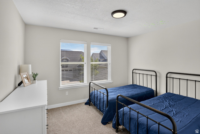 2178 Autumn Drive Mapleton, UT 84664 - Photo 30 of 48 Neutral wall finishes, dual windows, ceiling-mounted light fixture, and carpeted flooring