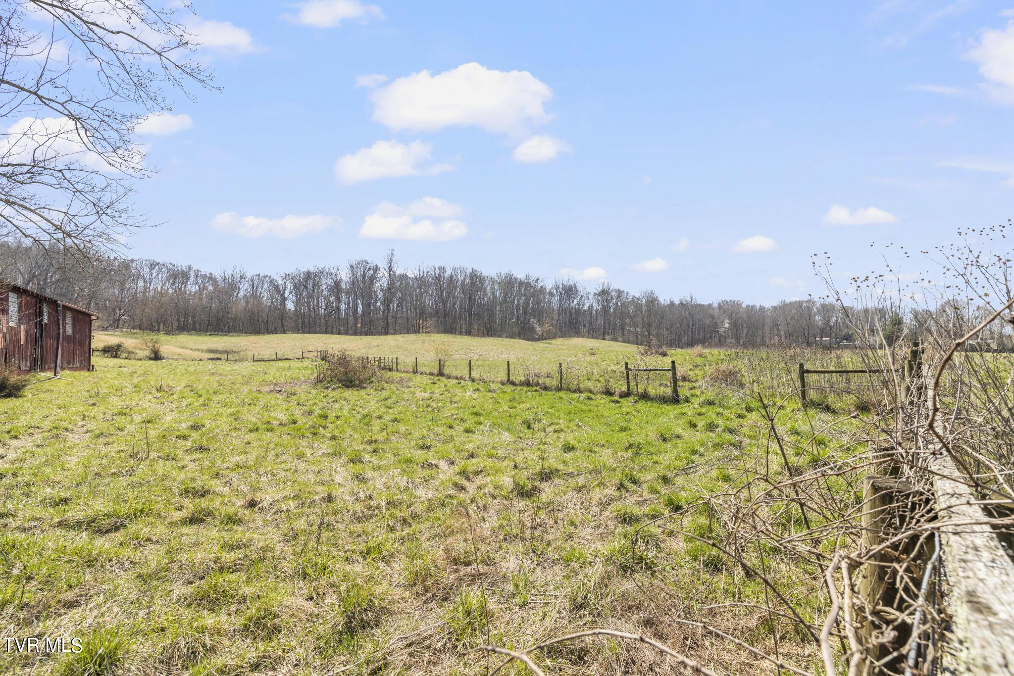 Lot 11 Old White Top Road, Unit 11 Bluff City, TN 37618 - Photo 15 of 16 IMG_9803