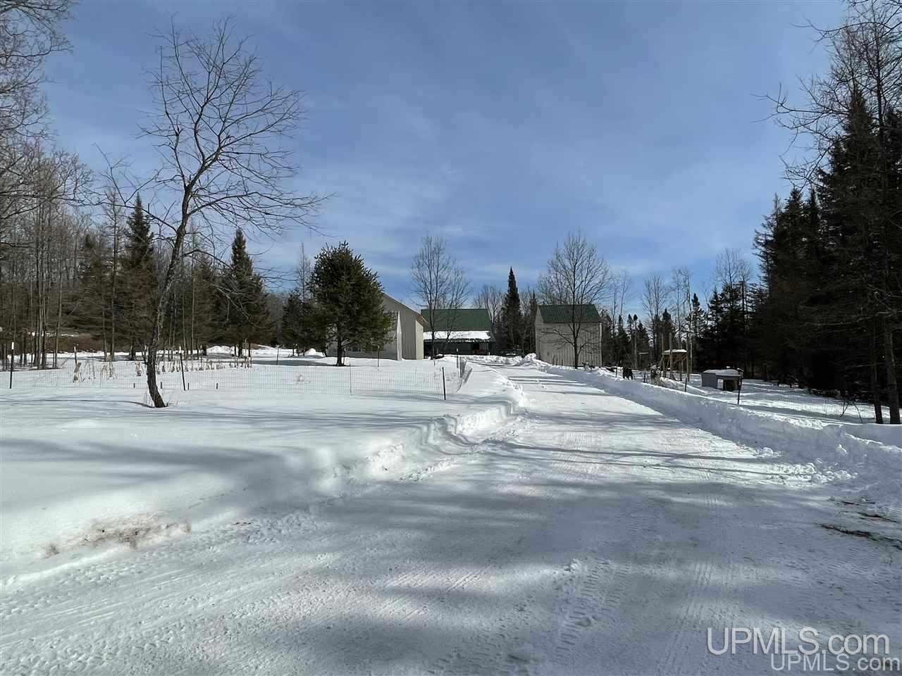 2491 Co Road Ralph, MI 49877 - Photo 50 of 50