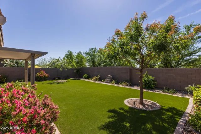 a swimming pool with some plants and trees