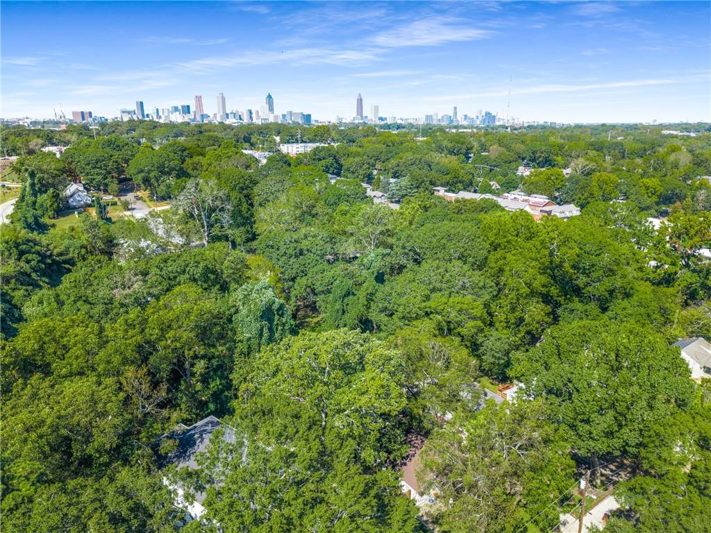 271 Haas Avenue Southeast Atlanta, GA 30316 - Photo 54 of 56 a view of a city with lush green forest