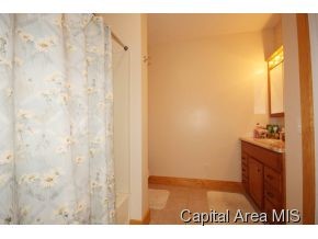 6971 Mansion Road Chatham, IL 62629 - Photo 6 of 22