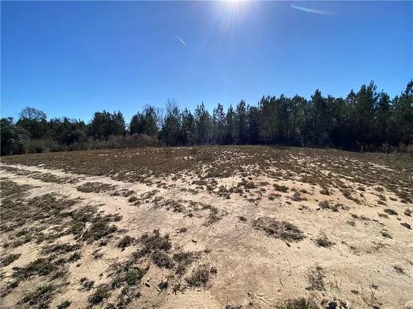 $585,000 | 66395 1058th Highway, Roseland, LA 70456