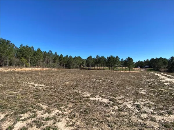 $585,000 | 66395 1058th Highway, Roseland, LA 70456