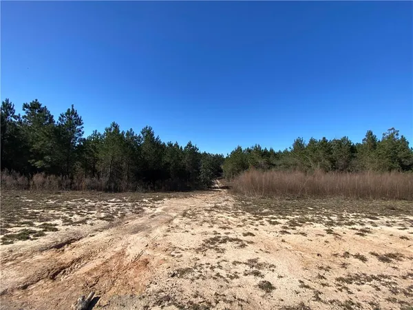 $585,000 | 66395 1058th Highway, Roseland, LA 70456