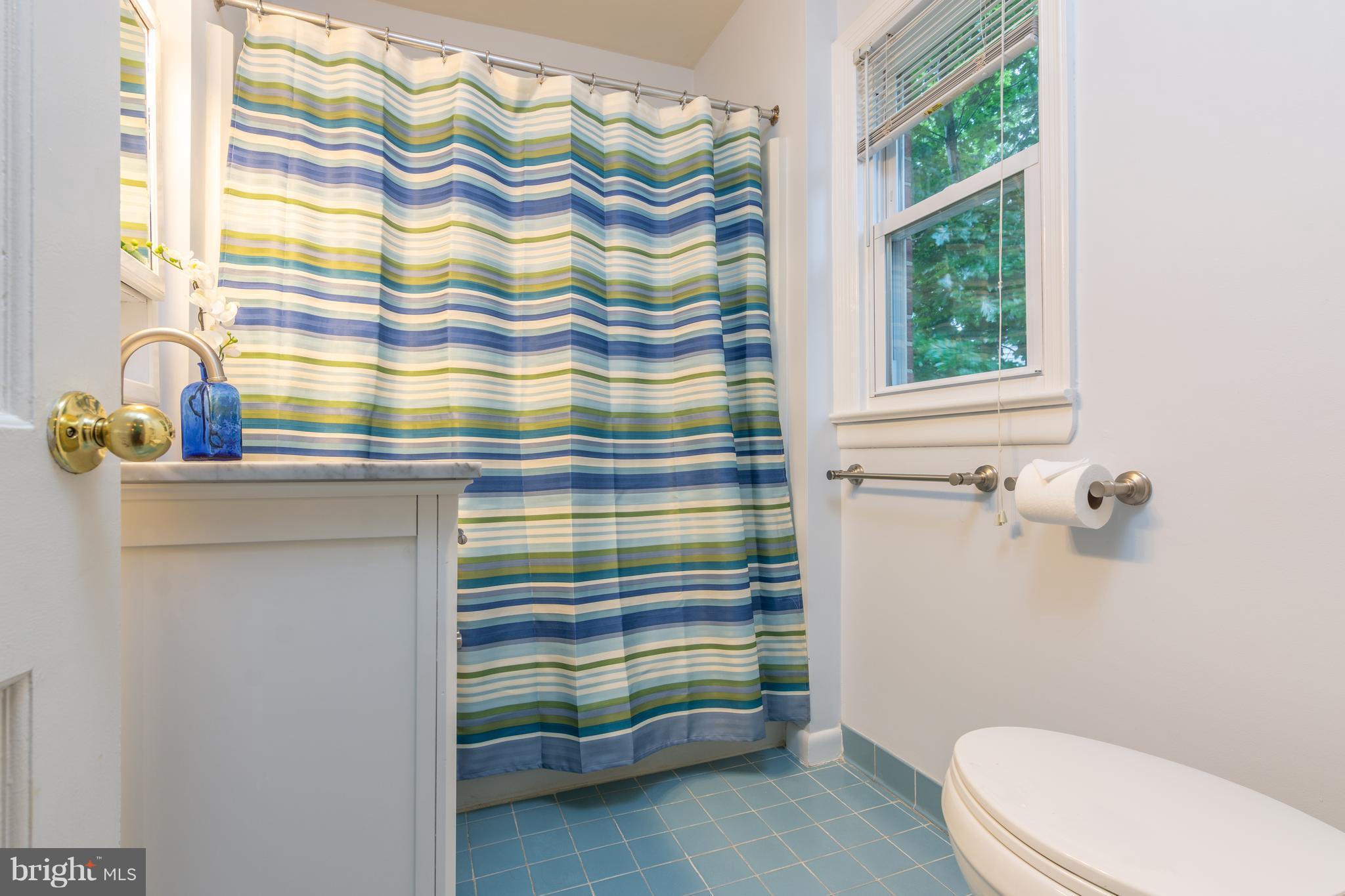 400 East Schuyler Road Silver Spring, MD 20901 - Photo 20 of 30 Upgraded tasteful upper level bathroom - tree view