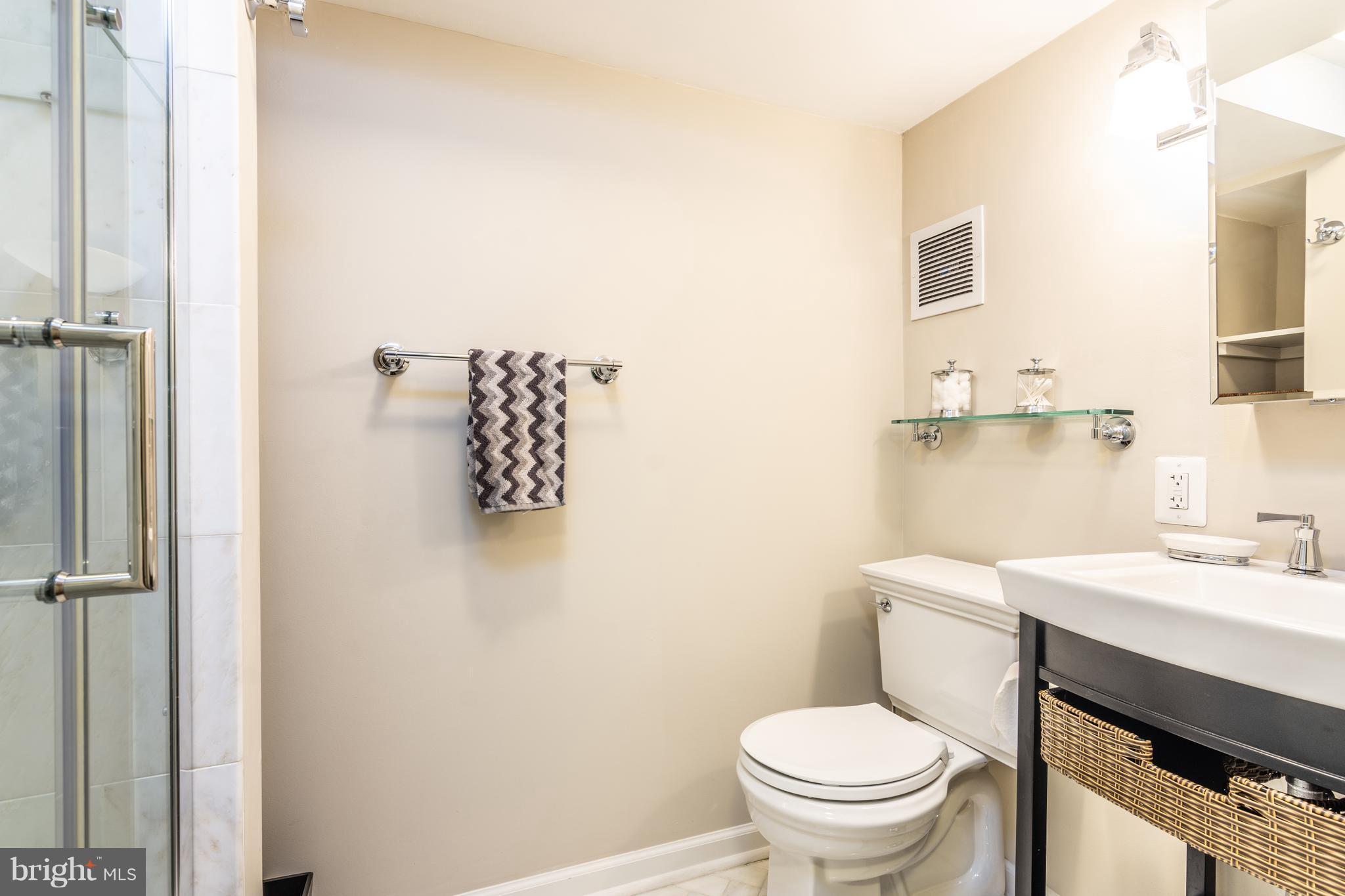 400 East Schuyler Road Silver Spring, MD 20901 - Photo 29 of 30 Lower level bath: designer shower tile + storage