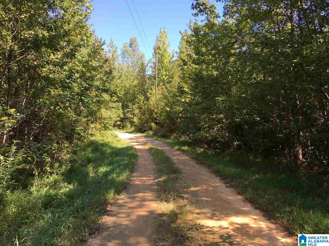 0 Bull Hollow Road, Unit 58 ACRES Gallant, AL 35972 - Photo 9 of 9