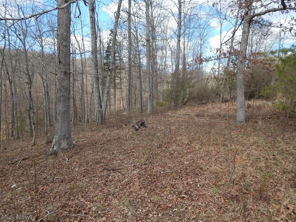5285 Oil Ridge Harrisville, WV 26362 - Photo 33 of 35 Gallery Image 33
