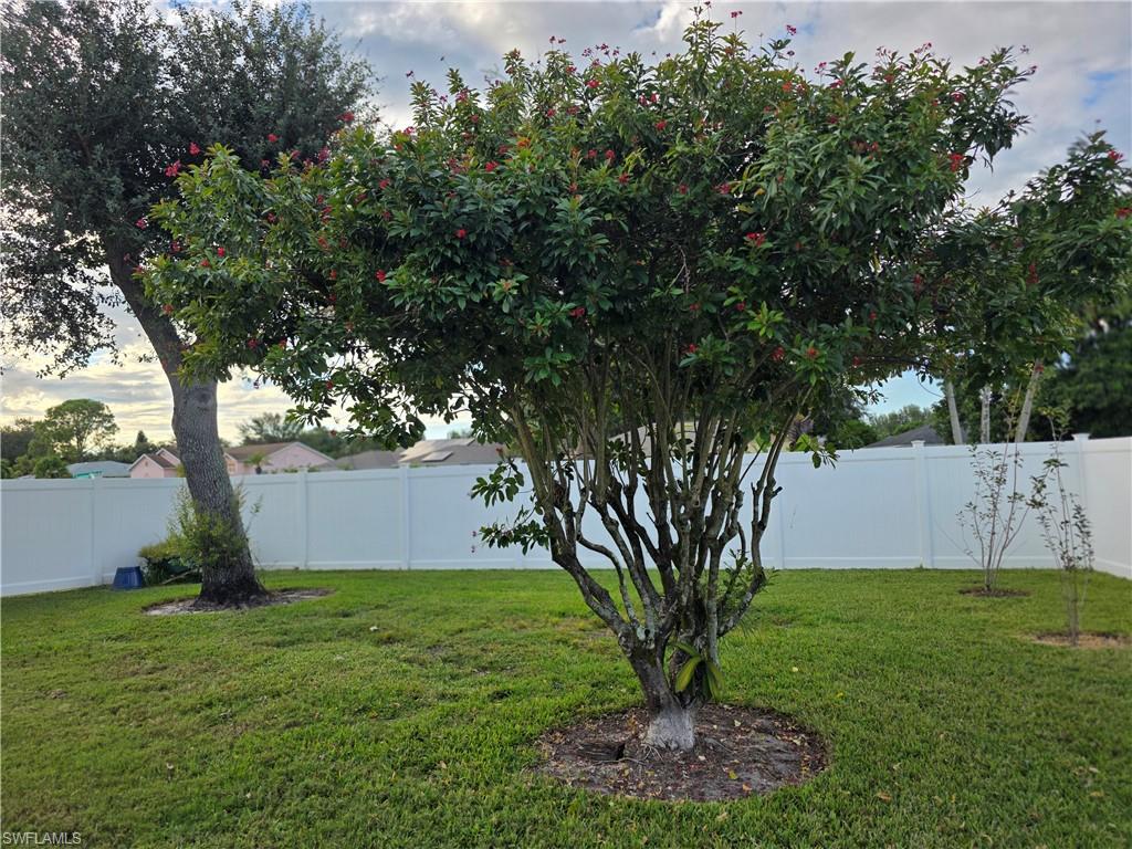 857 Summerfield Drive Naples, FL 34120 - Photo 15 of 50 a view of a backyard