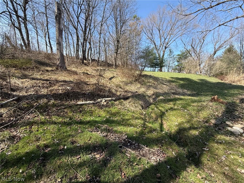7170 Old Town Road Mount Perry, OH 43760 - Photo 38 of 41 View of yard