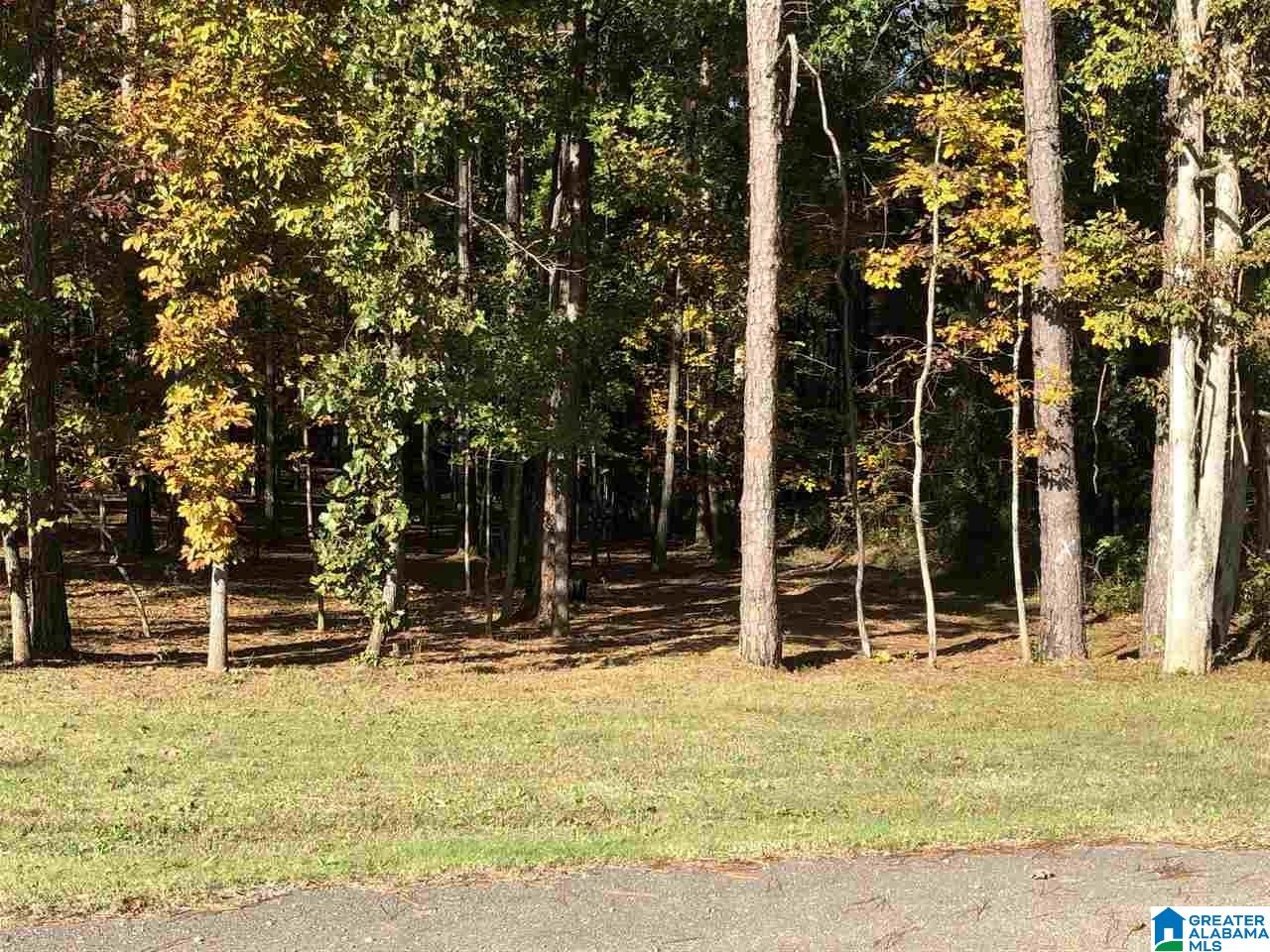 20818 Sandy Drive, Unit 61 McCalla, AL 35111 - Photo 4 of 5
