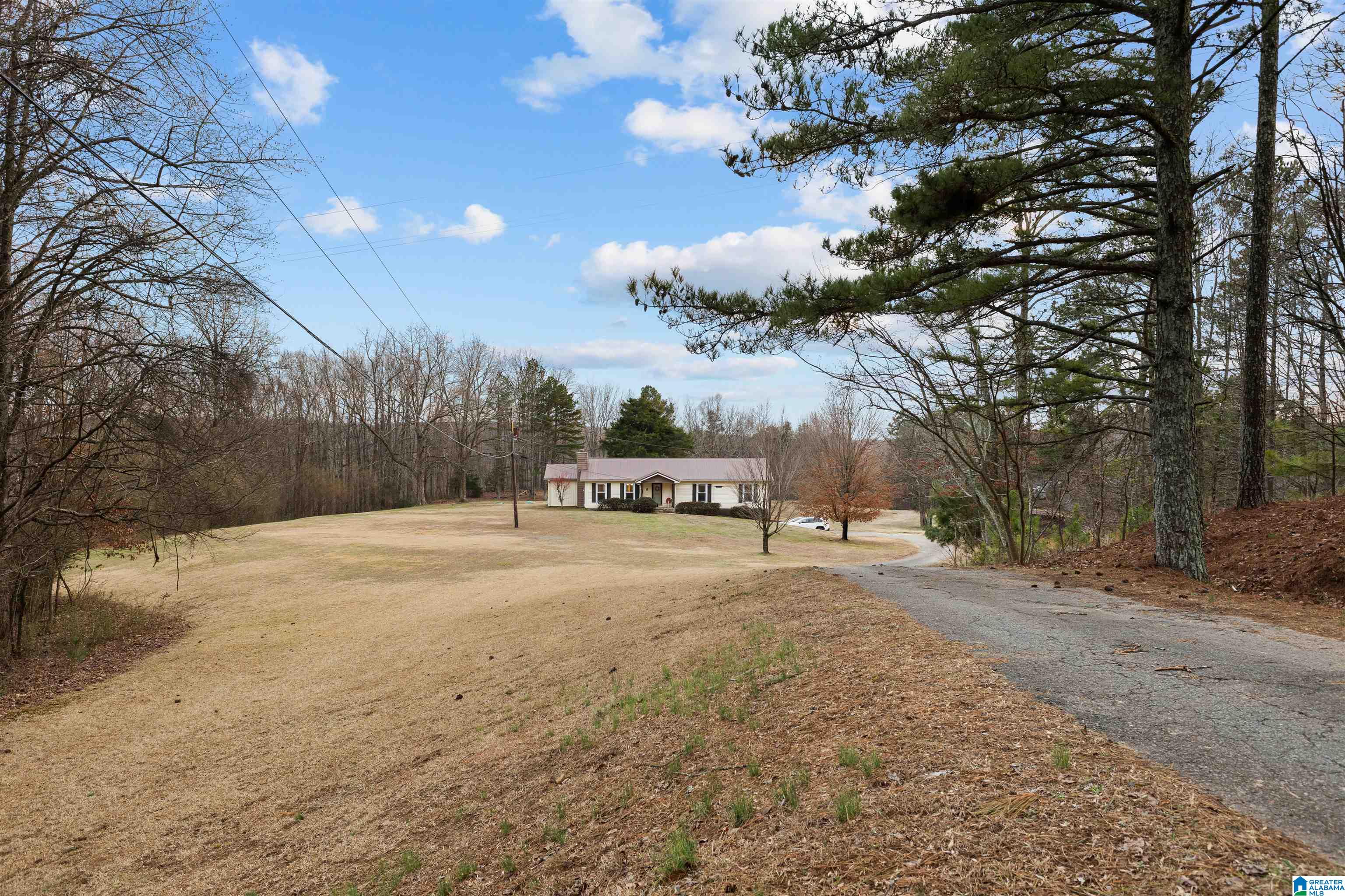 560 Phillips Drive Oneonta, AL 35121 - Photo 46 of 50