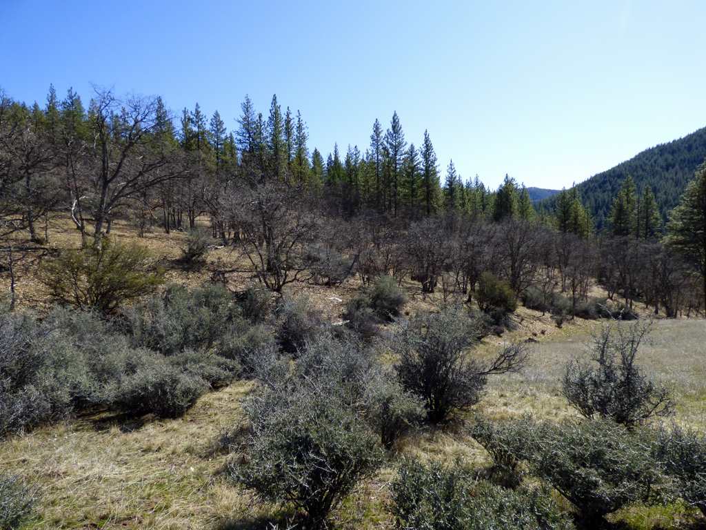 0 Greenhorn Road Yreka, CA 96097 - Photo 9 of 27 Gallery Image 9