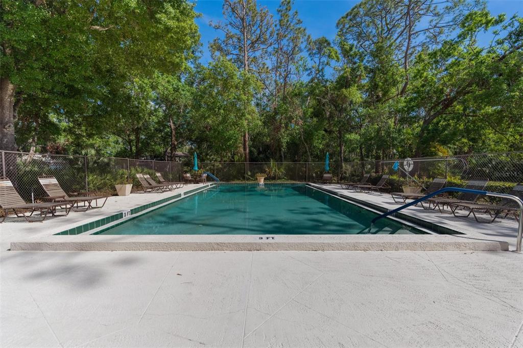 25 Woods Landing Trail Oldsmar, FL 34677 - Photo 43 of 49 Gallery Image 43