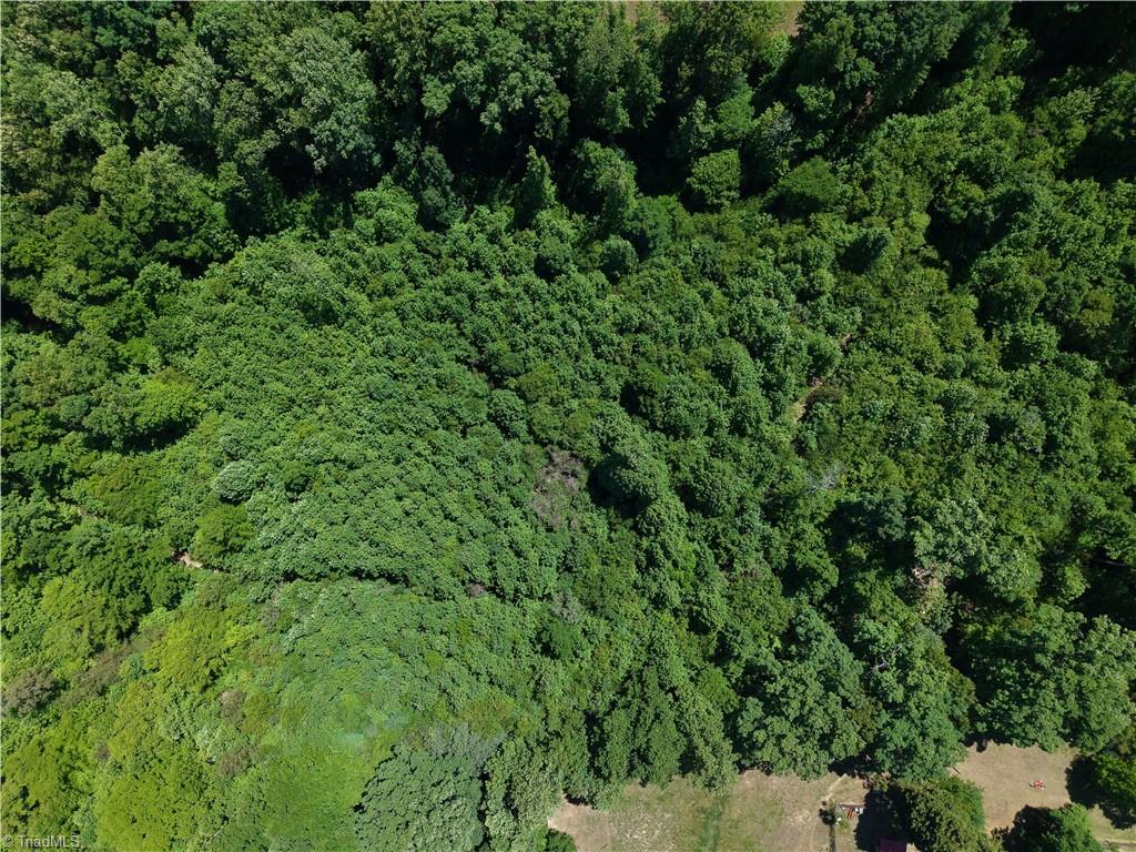 0 Fuller Mill Road North Thomasville, NC 27360 - Photo 19 of 22
