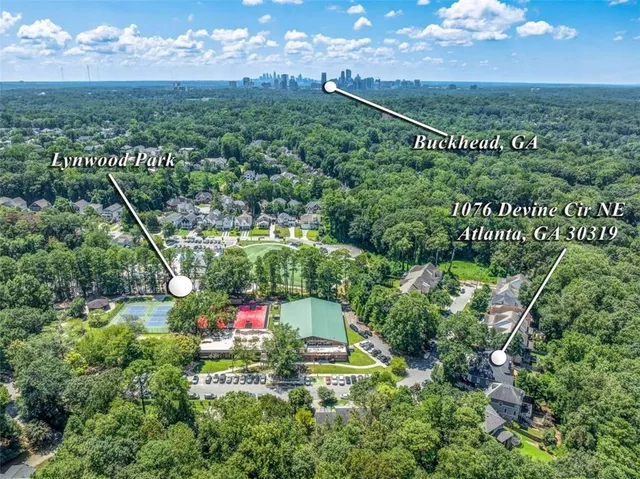 a view of a city with a mountain in the background