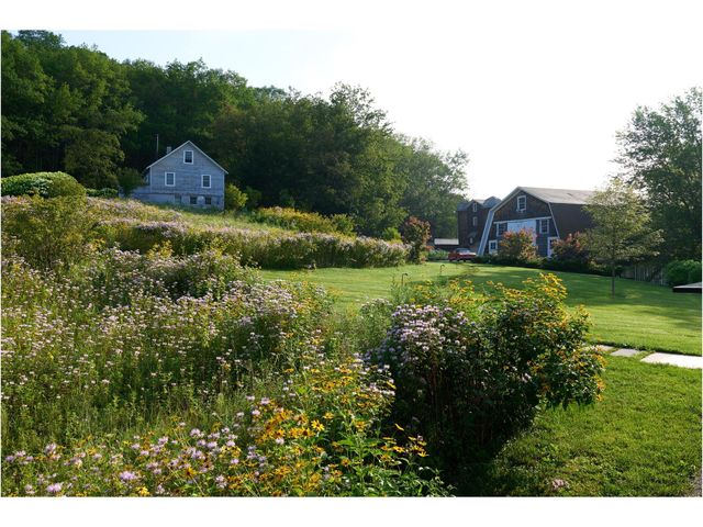 a view of a house with a yard and a large tree
